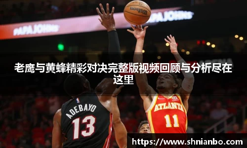 老鹰与黄蜂精彩对决完整版视频回顾与分析尽在这里