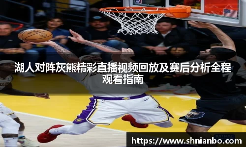 湖人对阵灰熊精彩直播视频回放及赛后分析全程观看指南